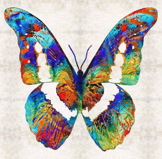 Colorful Butterfly