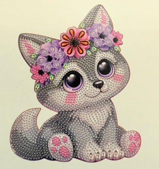 Raccoon