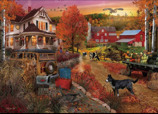 Country Inn &amp; Farm