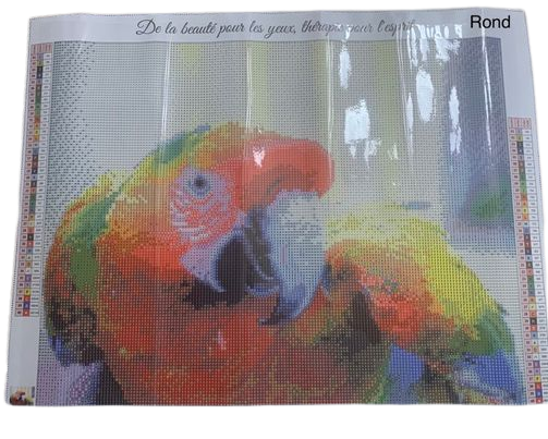 Key's Macaw 46X36cm. Round or square acrylic 40 colors