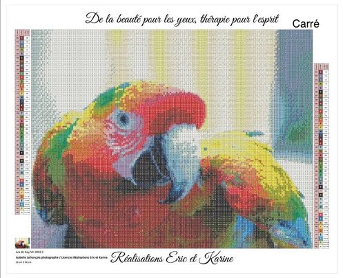 Key's Macaw 46X36cm. Round or square acrylic 40 colors