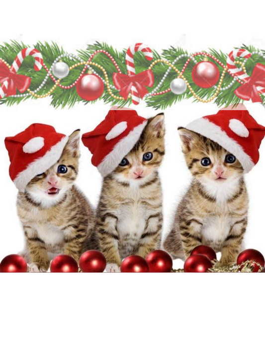 Christmas cats 70X50cm. Round or square acrylic 50 colors