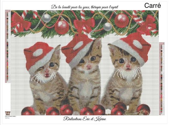 Christmas cats 70X50cm. Round or square acrylic 50 colors