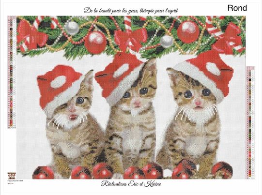 Christmas cats 70X50cm. Round or square acrylic 50 colors